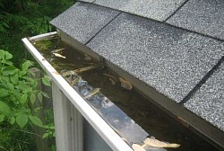 limpieza canalones monforte de lemos