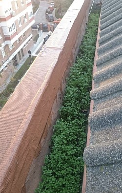 limpieza canalones monforte de lemos