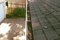 limpieza canalones monforte de lemos