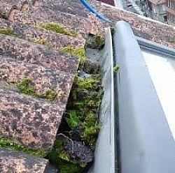 limpieza canalones monforte de lemos